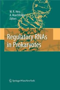 Regulatory RNAs in Prokaryotes