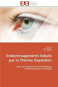 Endommagements induits par la thermo oxydation