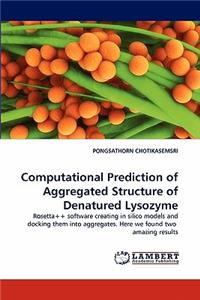 Computational Prediction of Aggregated Structure of Denatured Lysozyme