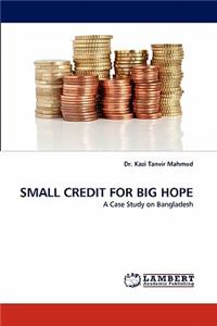 Small Credit for Big Hope