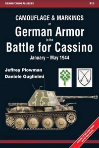 Camouflage and Markings of German Armor in the Battle for Cassino, January-May 1944