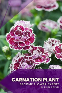 Carnation Plant
