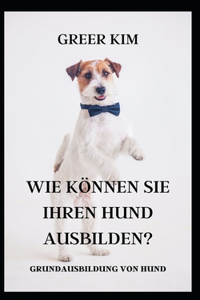 Wie Koennen Sie Ihren Hund Ausbilden?