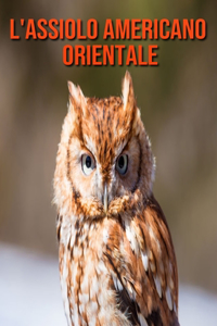 L'assiolo americano orientale