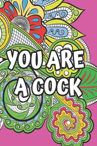 You Are A Cock