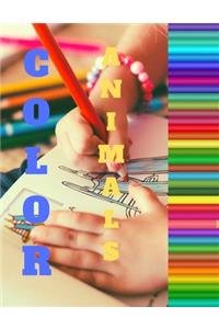 Color
