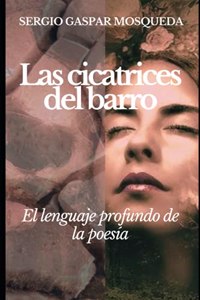 Las cicatrices del barro
