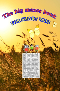 big mazes book for smart kids