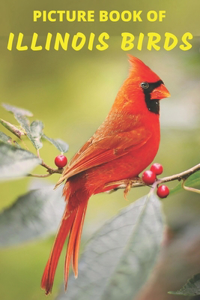 Picture Book Of Illinois Birds