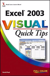 Excel® 2003 VisualTM Quick Tips (Visual Quick Tips)