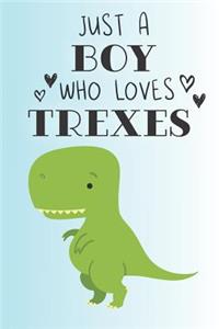 Just A Boy Who Loves Trexes