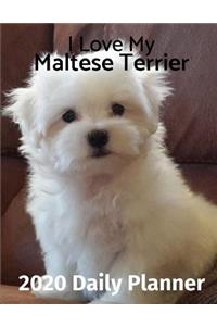 I Love My Maltese Terrier