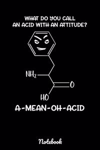 What Do You Call An Acid With An Attitude? A-Mean-Oh-Acid Notebook