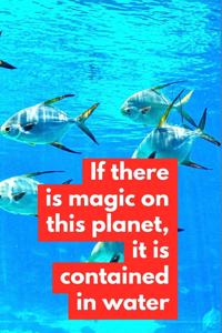 If There Is Magic on This Planet It Is Contained in Water