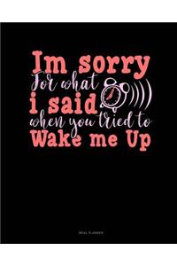 Im Sorry for What I Said When You Tried to Wake Me Up