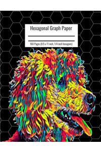 Hexagonal Graph Paper