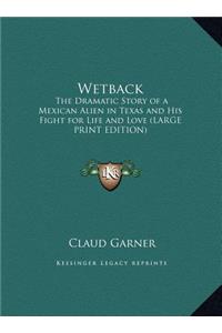 Wetback: The Dramatic Story of a Mexican Alien in Texas and His Fight for Life and Love (LARGE PRINT EDITION)