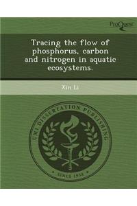 Tracing the Flow of Phosphorus