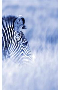 Alive! zebra stripes - Blue duotone - Photo Art Notebooks (5 x 8 series)
