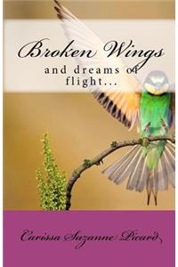 Broken Wings