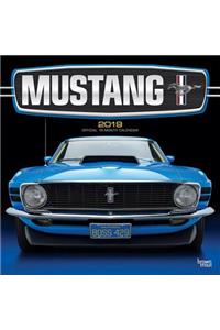 Mustang 2019 Square Foil