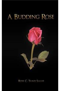 A Budding Rose