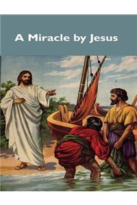 Miracle by Jesus