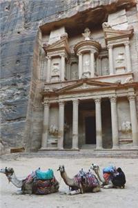 Camels at Petra Jordan Journal