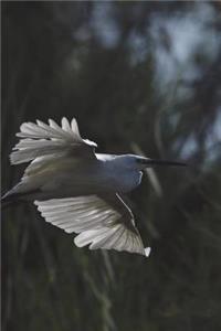 White Egret in Flight Journal