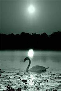 Journal Black White Peaceful Swan Photo