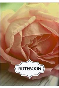Notebook Dot-grid Rose