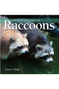 Exploring the World of Raccoons