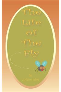 The Life of the Fly