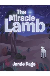 Miracle Lamb