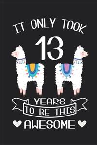 It Only Took 13 Years to be this Awesome