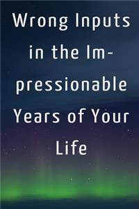 Wrong Inputs in the Impressionable Years of Your Life