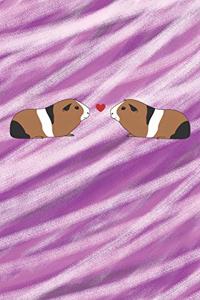 Meerschweinchen-Liebe