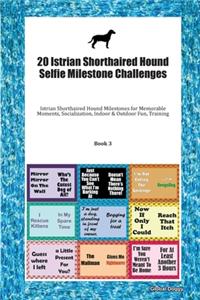 20 Istrian Shorthaired Hound Selfie Milestone Challenges