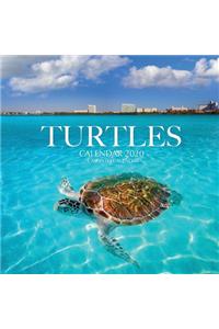 Turtles Calendar 2020