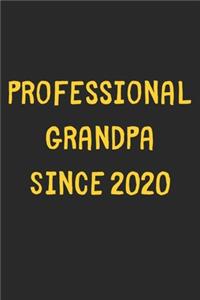 Professional Grandpa Since 2020