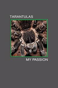 Tarantulas my Passion