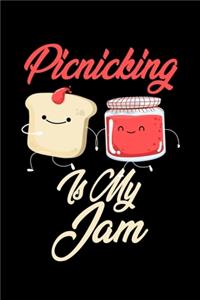 Picnicking is My Jam