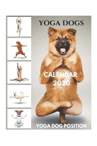 Yoga Dogs Calendar 2020 - Yoga Dog Position