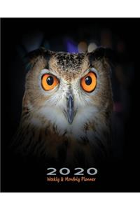 2020 Weekly & Monthly Planner