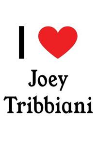 I Love Joey Tribbiani