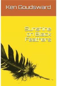 Sunshine on Black Feathers