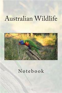 Australian Wildlife