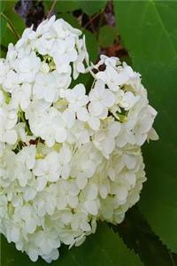 Floral 2019 Daily Planner Summer Hydrangea 384 Pages