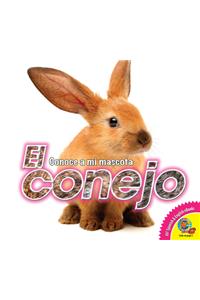 Conejo