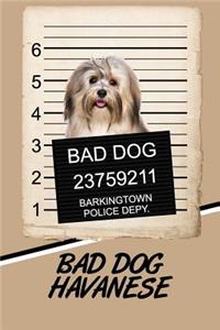 Bad Dog Havanese: Weekly Action Planner Featuring 120 Pages 6x9